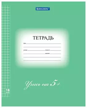 Тетрадь 18 л. Brauberg ЭКО "5-ка", клетка, обложка плотная мелованная бумага, зеленая, 402987