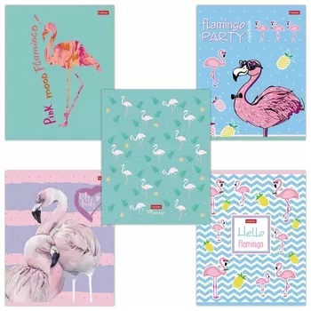 Тетрадь 18 л. Hatber скоба, клетка, обложка картон, тиснение, "Фламинго" (5 видов в спайке), 18т5тв1