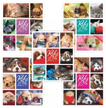 Тетрадь 24 л. клетка Relax Life