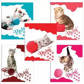 Тетрадь 48 л. клетка Кошечки