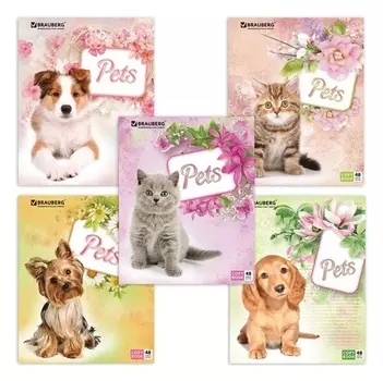 Тетрадь 48 л. клетка "Любимчики"