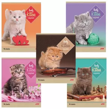 Тетрадь 48 л. линия Котята