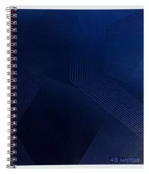Тетрадь 48л кл на гребне синяя графика