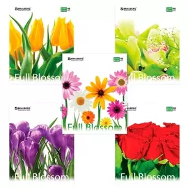 Тетрадь 48л клетка Brauberg цветы-2, 401808