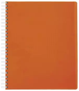 Тетрадь 80 л. клетка Diamond Neon