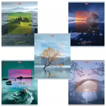 Тетрадь 80 л. клетка Impressions