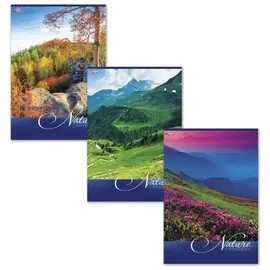 Тетрадь 80 л. клетка Nature