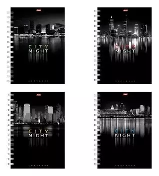 Тетрадь 96 л. клетка Ночной город