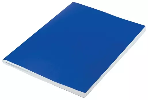 Тетрадь 96 л. клетка синяя