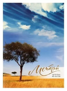 Тетрадь А4 48л кл поле обл мел карт, бл офс