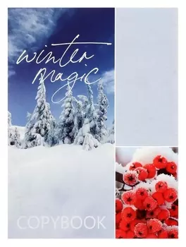 Тетрадь А4 48л кл зима обл мел карт, бл офс