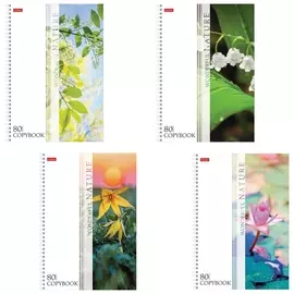 Тетрадь А4, 80 л., Hatber, гребень, клетка, выборочный лак, "Nature" (4 вида в спайке), 80т4вмв3гр