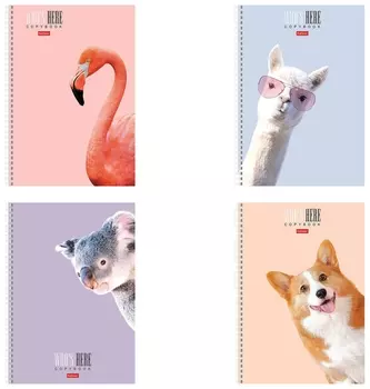 Тетрадь А4 96 л. Hatber гребень, клетка, матовая ламинация, "Кто здесь?" (4 вида в спайке), 96т4лв1гр