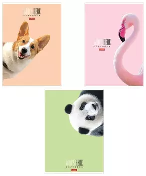 Тетрадь А4 96 л. Hatber скоба, клетка, матовая ламинация, "Кто здесь?" (4 вида), 96т4лв1