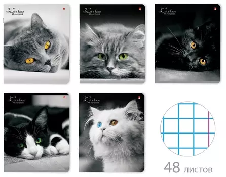Тетрадь А5 48 л. альт скоба, клетка, глянцевый лак, "Кошки. яркий взгляд" (5 видов), 7-48-1019