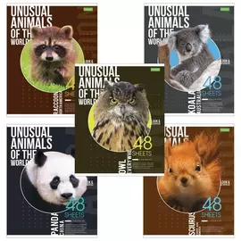 Тетрадь А5 48 л. Hatber-eco, скоба, клетка, обложка картон, "Animals", 48т5c1