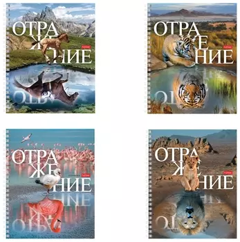 Тетрадь А5 48 л. Hatber гребень, клетка, обложка картон, "Отражение" (4 вида в спайке), 48т5в1гр