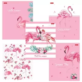 Тетрадь А5, 48 л., Hatber, скоба, клетка, матовая ламинация, "Розовый фламинго" (5 видов в спайке), 48т5лв1