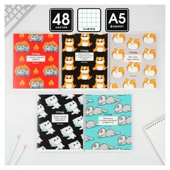 Тетрадь А5, 48 л на скрепке 5 шт. «Котики приколы», обложка мелованный картон 230 гр., внутренний блок в клетку 80 гр., белизна 96%