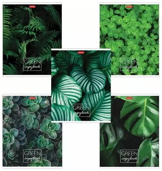 Тетрадь А5 96л. Hatber скоба, клетка, обложка картон, "Moregreen" (5 видов), 96т5в1