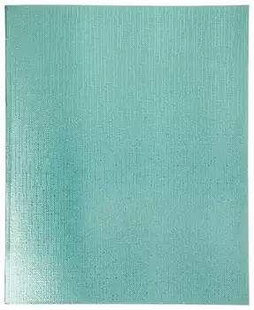 Тетрадь бумвинил А5 48 л. скоба, офсет №1, клетка, "Мята Metallic", Hatber, 48т5бвв1