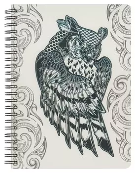 Тетрадь общая №1 School сова 96л., пластиковая обл., запечат.лист, пружина