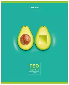 Тетрадь предметная "Avocado" 48 л., глянцевый лак, геометрия, клетка, Brauberg, 404278