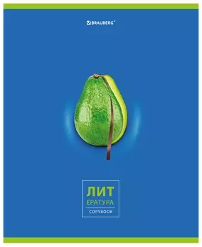 Тетрадь предметная "Avocado" 48 л., глянцевый лак, литература, линия, подсказ, Brauberg, 404281