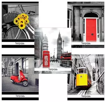 Тетрадь в клетку 48 листов А5 Акцент