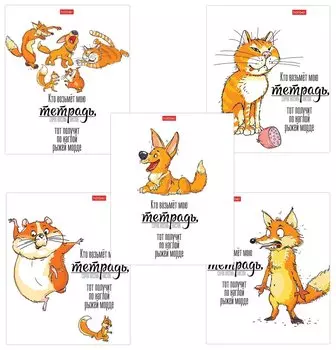 Тетрадь в клетку 48 листов А5 Кто возьмет тетрадь