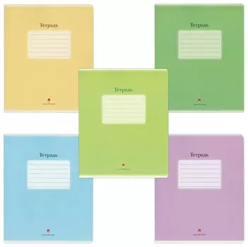 Тетрадь в клетку 48 листов А5 Люкс