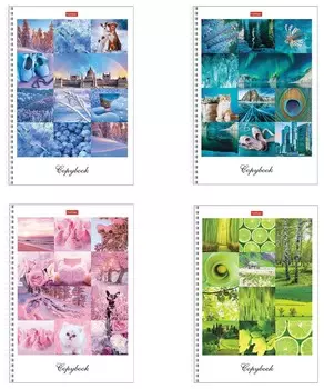 Тетрадь в клетку 80 листов А4 Краски дня