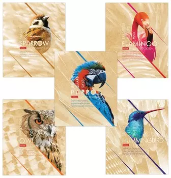 Тетрадь в клетку 80 листов А5 Birds