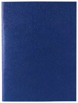 Тетрадь в клетку А4 96 листов