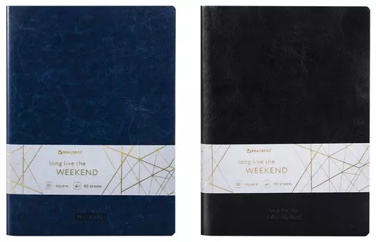 Тетради 60 л. в клетку обложка гладкий кожзам, набор 2 шт., сшивка, B5 (179х250 мм), Brauberg Viva, 403900