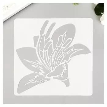 Трафарет пластик "Лилия" 13х13 см