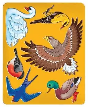 Трафарет птицы луч, 9C 449-08