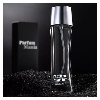 Туалетная вода мужская Mania Parfum, 100 мл