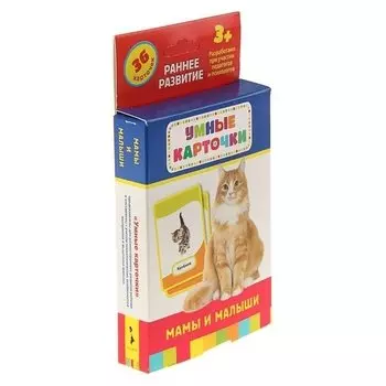 Умные карточки «Мамы и малыши», 36 карточек