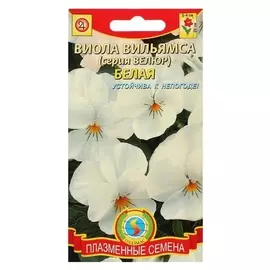 Виола вильямса (Серия велюр) белая, 10 шт.