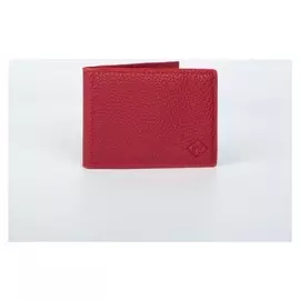 Визитница, 20 листов, цвет красный