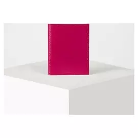 Визитница на 20 карт, цвет малиновый