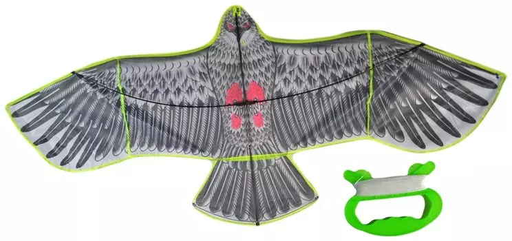 Воздушный змей Птица