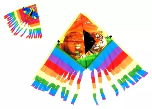 Воздушный змей разноцветный