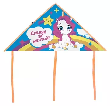 Воздушный змей «Следуй за мечтой»