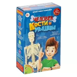 Японские опыты "Науки с буки. человек. кости и мышцы"