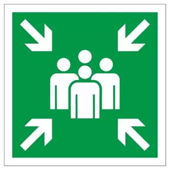 Знак безопасности Е21 пункт (Место) сбора, 300x300 мм, с/в, металл 0,5 мм