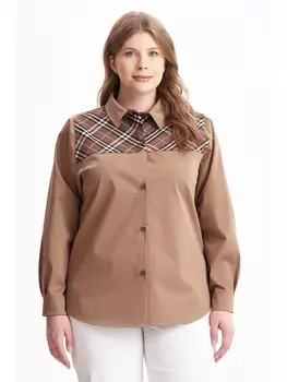 Блузки, рубашки 2310011