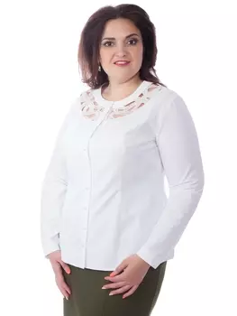 Блузки, рубашки Рубашка М5-3804/3