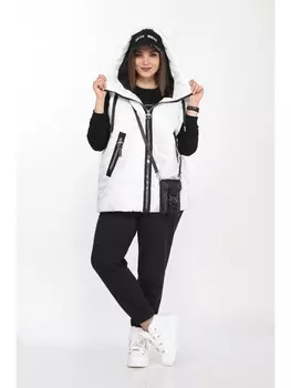 Брючные костюмы 2738